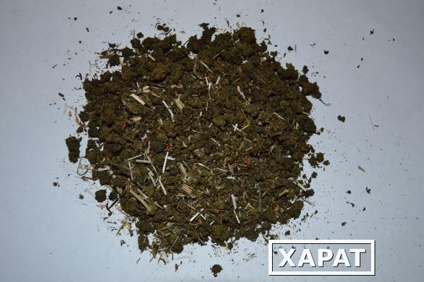 Фото Иван-чай зеленый с ферментированным листом черемухи