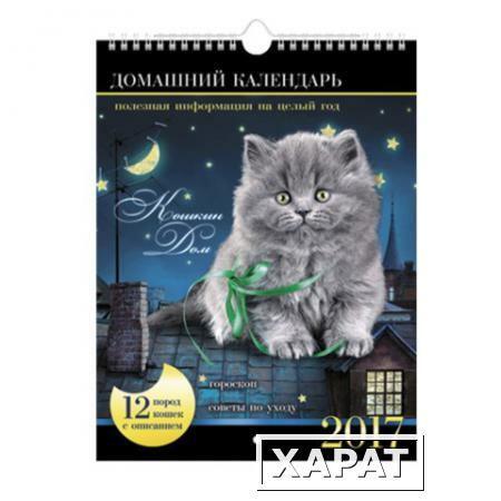 Фото Календарь на гребне с ригелем на 2017 г., 22х30 см, HATBER, 12 л., "Кошкин дом"