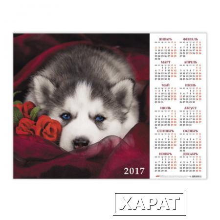 Фото Календарь А2 на 2017 г., HATBER, 45х60 см, горизонтальный, с крупной сеткой, "Щенок"