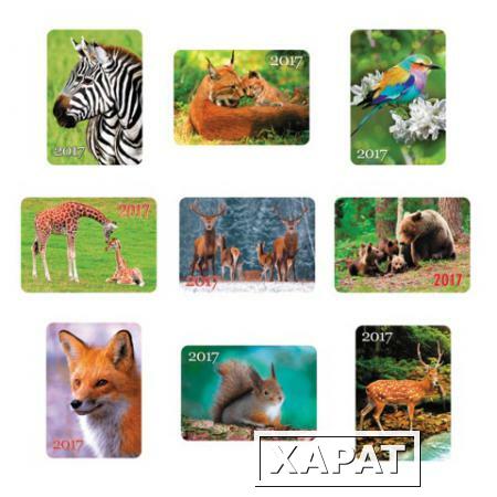Фото Календарь карманный на 2017 г., HATBER, 7х10 см, лакированный, "В мире животных"