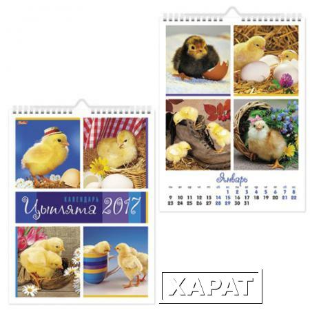 Фото Календарь на гребне с ригелем на 2017 г., 22х30 см, HATBER, 6 л., "Цыплята"
