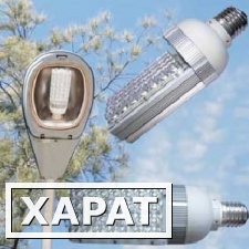 Фото Светодиодные лампы, энергосберегающие лампы