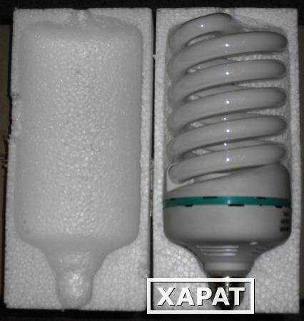 Фото Компактные люминесцентные энергосберегающие лампы