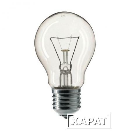 Фото Лампа накаливания PHILIPS A55 CL E27, 75 Вт, грушевидная, прозрачная, колба d = 55 мм, цоколь E27