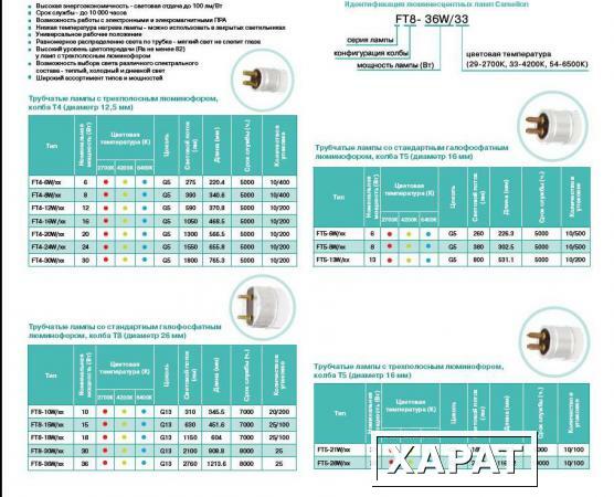 Фото Лампа люминесцентная FT5-6W Ультрафиолетовая