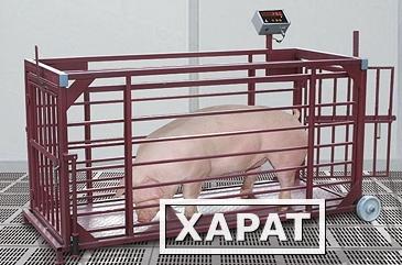 Фото Весы платформенные с подвесной клеткой для взвешивания животных ВП-ЖК