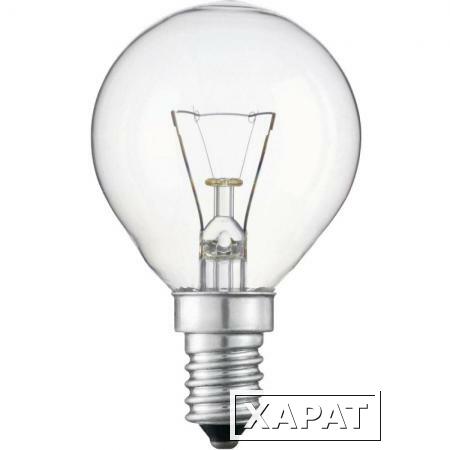 Фото Лампы накаливания PRORAB Лампа Philips P45 40Вт Е14 CL шар прозр