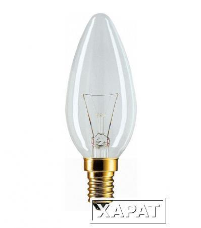 Фото Лампы накаливания PRORAB Лампа Philips B35 40Вт Е14 CL свеча прозр.