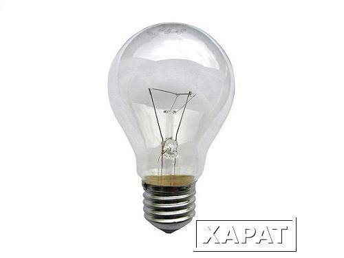 Фото Лампы накаливания PRORAB Лампа ЛОН 75Вт Калаш