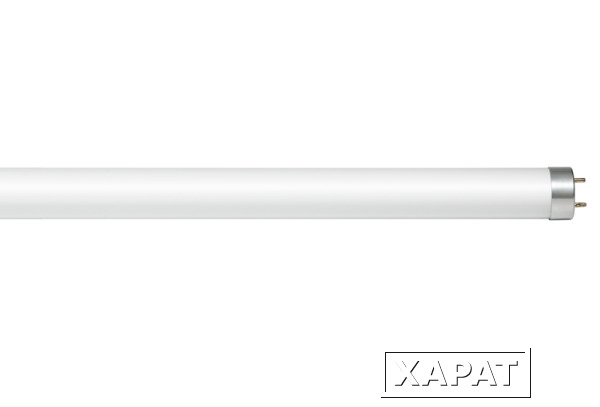 Фото Лампы светодиодные PRORAB Лампа светодиодная LED T8R 10Вт 160-260 G13 6500K 600мм
