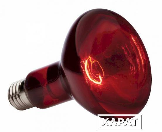 Фото Лампа накаливания инфракрасная зеркальная ИКЗК 250вт ЗК 220-250 E27 красная; 9732635