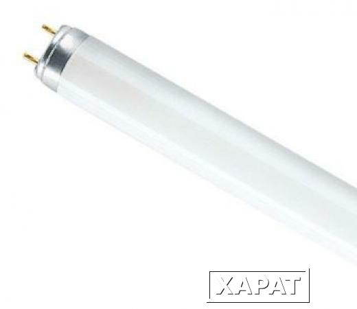 Фото Люминесцентная лампа Osram L30W 640 G13 D26mm 895mm холодный белый 4000 K - 4008321959690