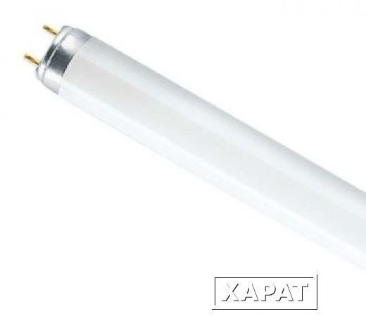 Фото Люминесцентная лампа Osram L30W 765 G13 D26mm 895mm дневной белый 6500 K - 4008321959706