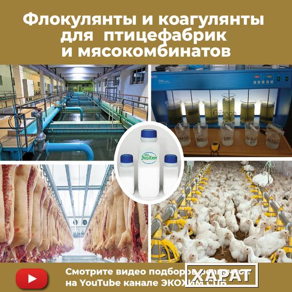 Фото Флокулянты коагулянты для очистных сооружений птицефабрик