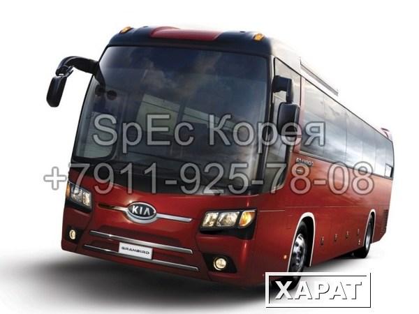 Фото запчасти автобус Киа Гранберд Kia Granbird D6CA D6CB D6AC D6CC