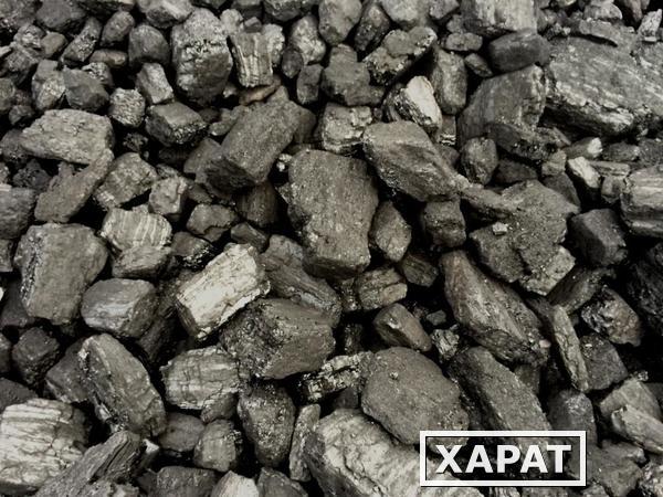 Фото Каменный уголь в Гатчине