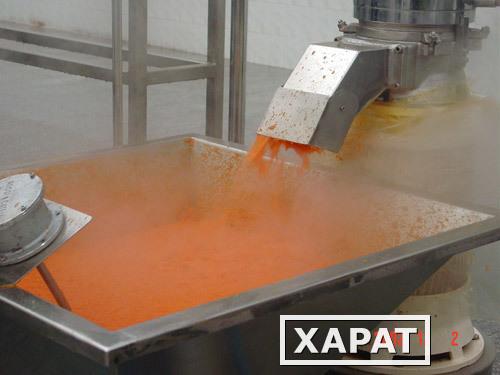 Фото   Автоматическая линия по производству подготовки морковного пюре