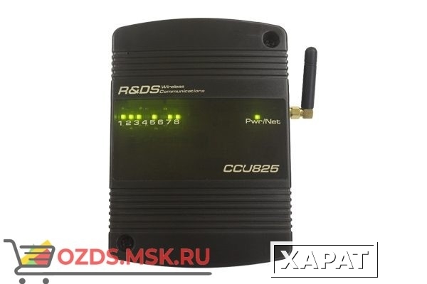 Фото Radsel CCU825-GATE/D/AE-P Контроллер