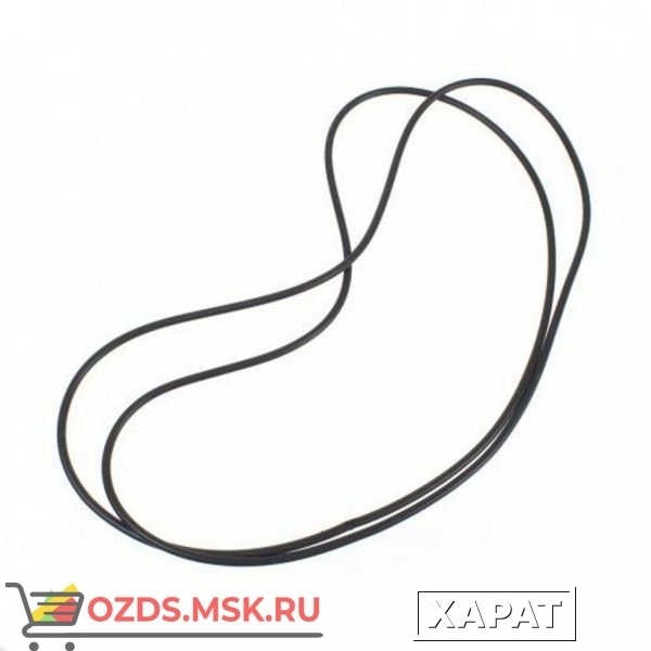 Фото Пассик Drive belt short