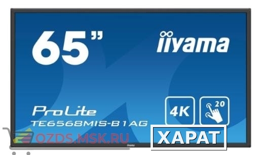 Фото Iiyama TE6568MIS-B1AG: Интерактивная панель