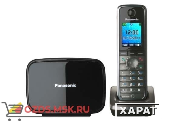 Фото Panasonic KX-TG8611RUМ: Радиотелефон