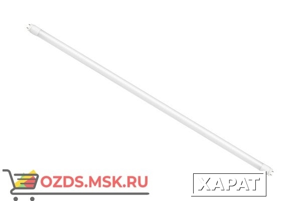 Фото ASD LED-T8 18Вт G13 6500К 1440Лм 1200мм матовая: Лампа