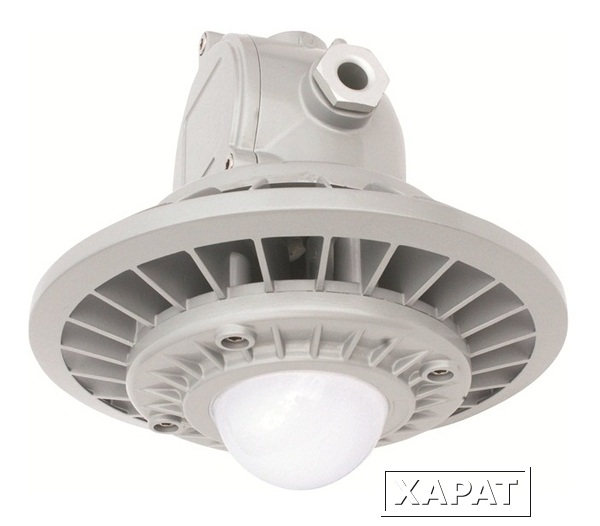 Фото Промышленный подвесной светодиодный светильник  30Вт, IP66, DGS30-(C)-P