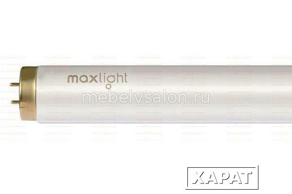 Фото Лампы для солярия Maxlight 180 W-R XL High Intensive Co