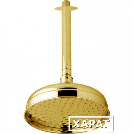 Фото CISAL Shower Верхний душ D207 мм Easy Clean с потолочным держателем L305 мм