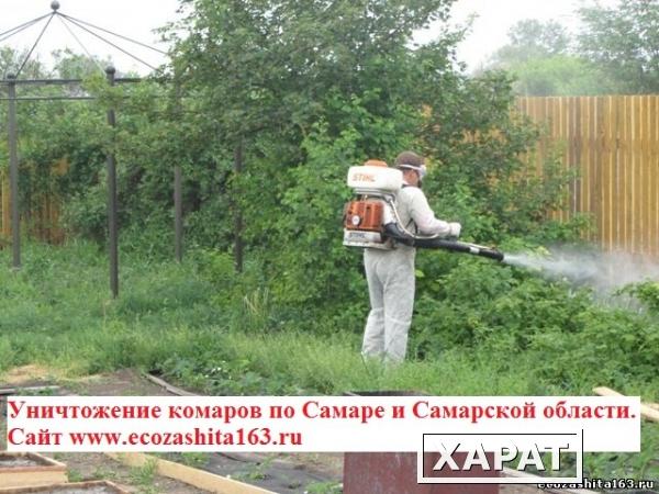 Фото Уничтожение комаров в Самаре.