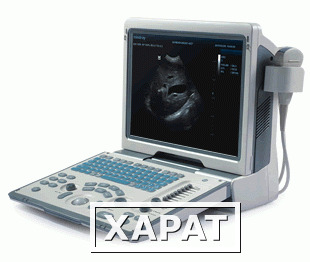 Фото УЗИ аппарат Mindray DP-50Vet