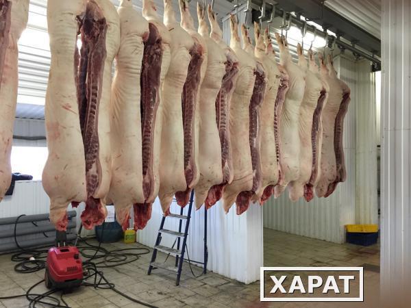 Фото Продажа мясоперерабатывающего комплекса 2500 м2 в Курской области