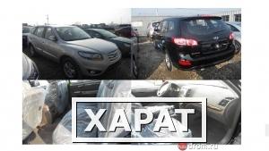 Фото Hyundai SantaFe 2010