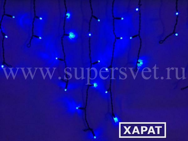 Фото Светодиодные флэш-занавеси "Бахрома" LED-RPLR-80-2M-240V-FLASH (синий)