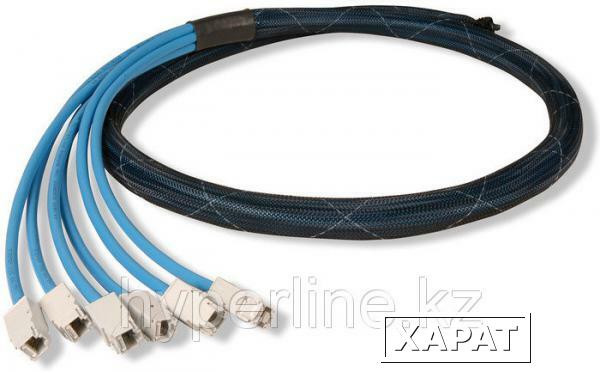 Фото Siemon TDLD8E-P0P0030M Кабельная сборка на основе кабеля категории 6A UTP
