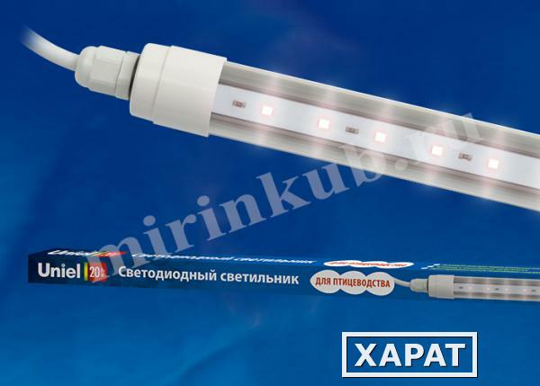 Фото Светильник для птиц ULY-P61-20W/SCEP/K IP65 DC24V WHITE