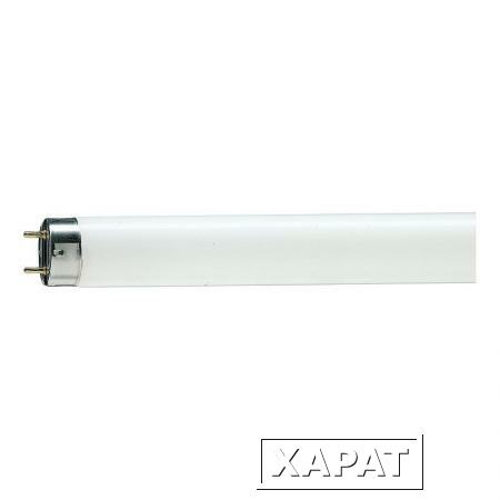 Фото ЛБ-36 L 36W/640 G13 OSRAM уп25