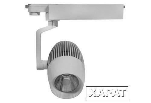 Фото Трековые светильники Estetica DTR-30W-38°-WH