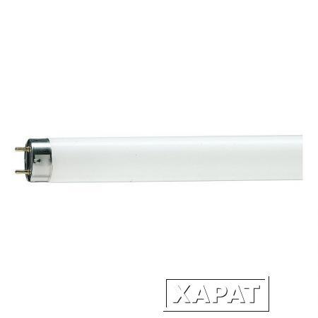 Фото ЛД-36 TLD 36W/54-765 G13 Philips уп25