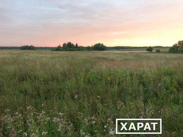 Фото Производственно-сельскохозяйственный кластер