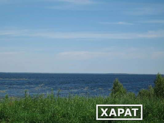 Фото Остров 40Га в Сургутском районе в черте месторождения нефти