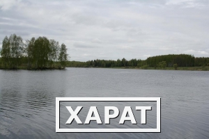 Фото Продаю участок 14 га на берегу большого пруда в 100 км от Москвы по 1500 руб/сотка.