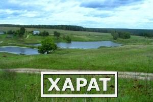 Фото Продам землю в Калужской области Тарусский р-н от 1 Га