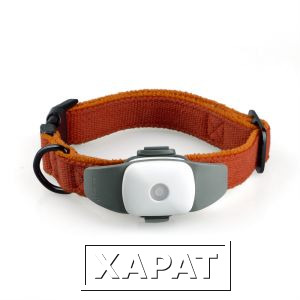 Фото GPS трекер для животных Followit Appello 4P (white) - 60 дней работы