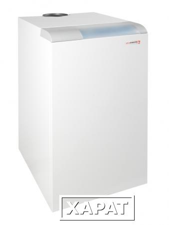 Фото Напольный газовый котел Protherm 40 PLO