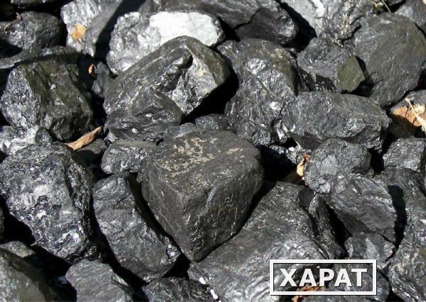 Фото Уголь каменный в Мурино (Девяткино)