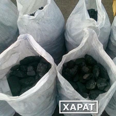 Фото Уголь в мешках по 25 кг