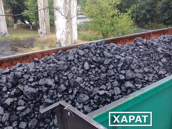 Фото Надёжные поставки каменного угля Кузбасса