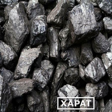 Фото Продажа каменного угля. Ленинградская область