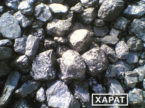 Фото Каменный уголь антрацит